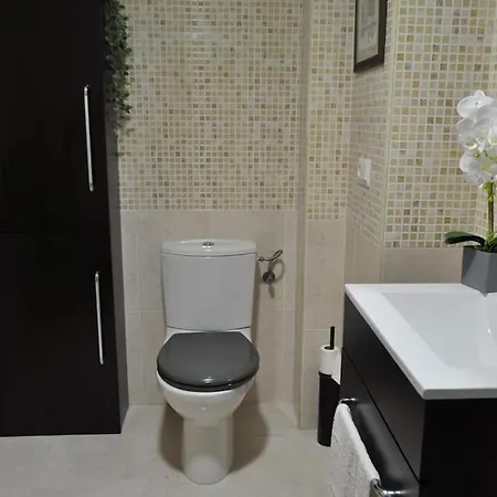 Apartment Acogedor En Centro